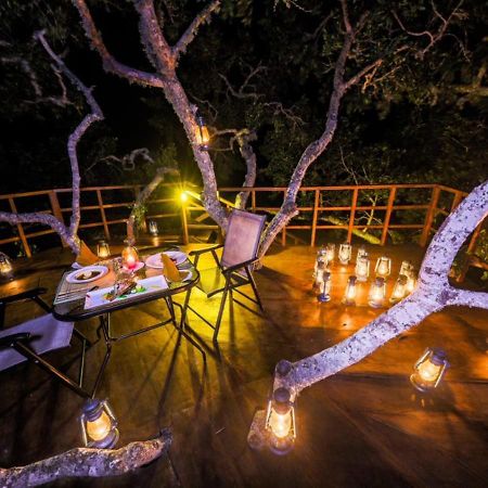 Tribe Yala - Luxury Camping Exteriér fotografie