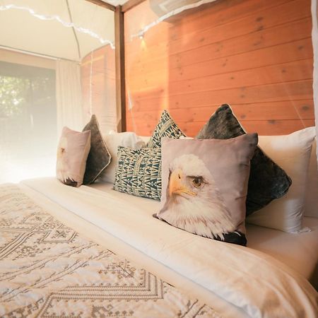 Tribe Yala - Luxury Camping Exteriér fotografie