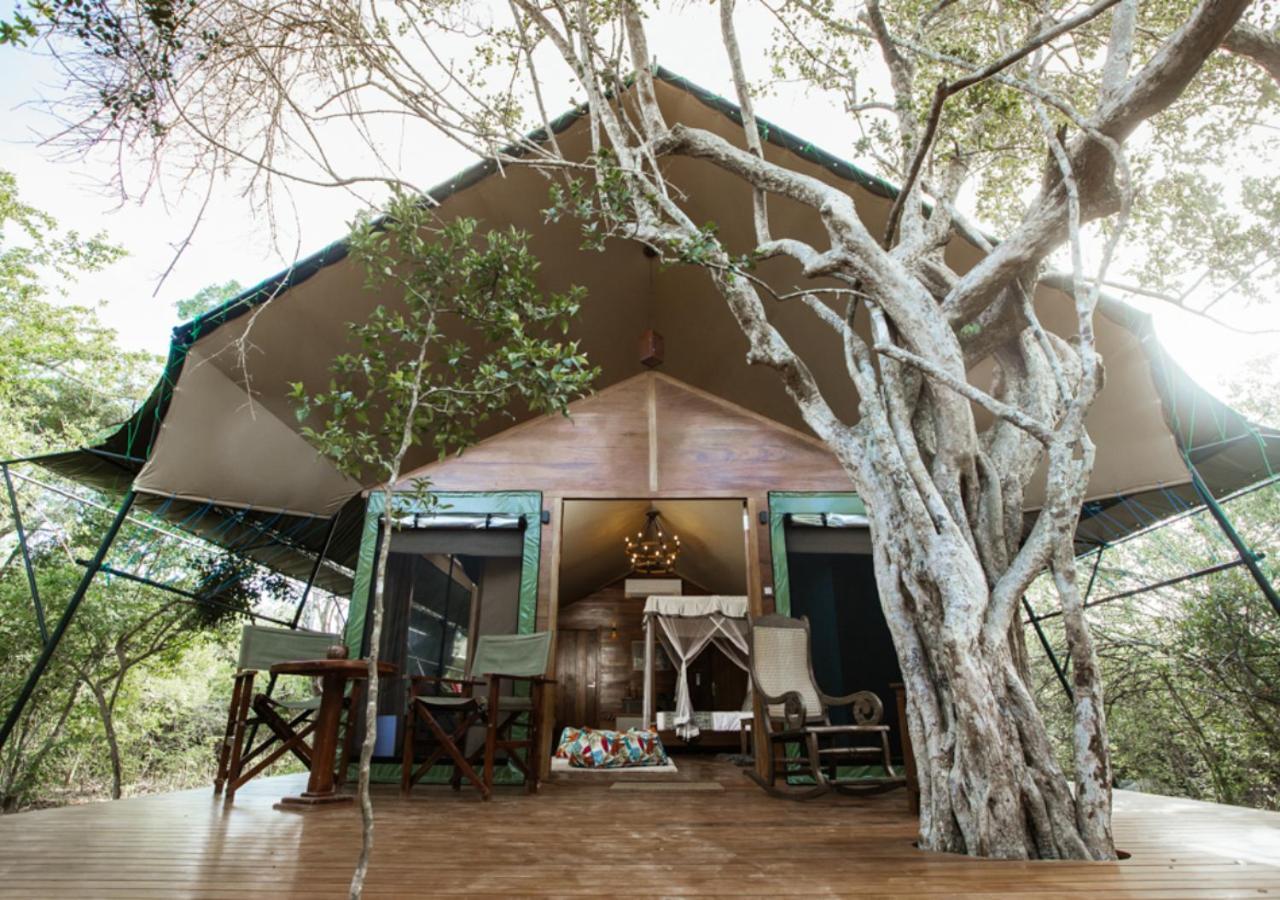 Tribe Yala - Luxury Camping Exteriér fotografie