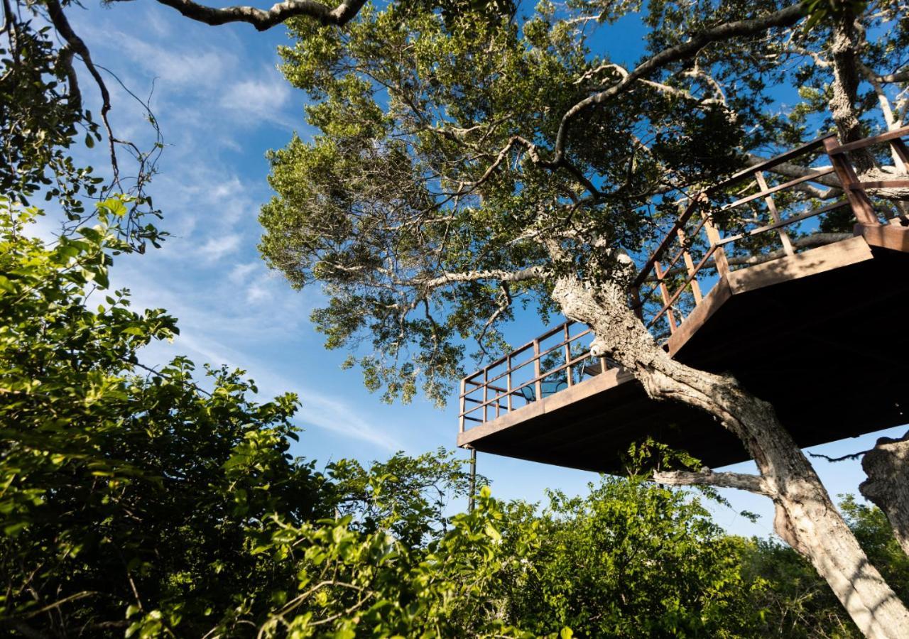 Tribe Yala - Luxury Camping Exteriér fotografie