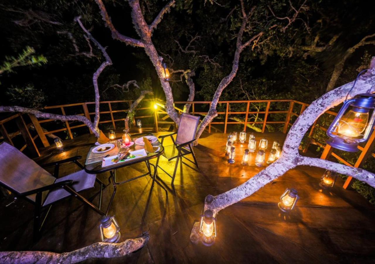 Tribe Yala - Luxury Camping Exteriér fotografie