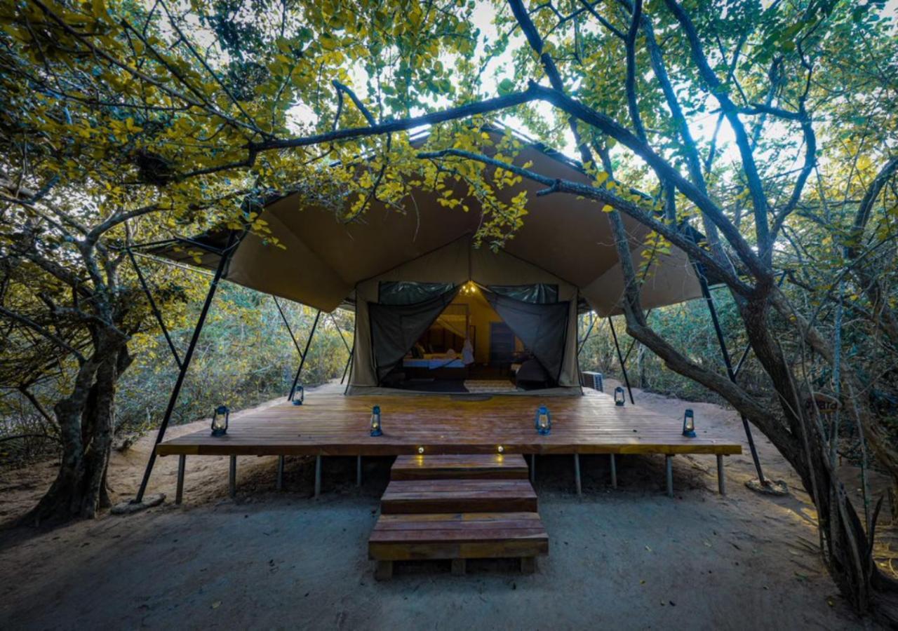 Tribe Yala - Luxury Camping Exteriér fotografie